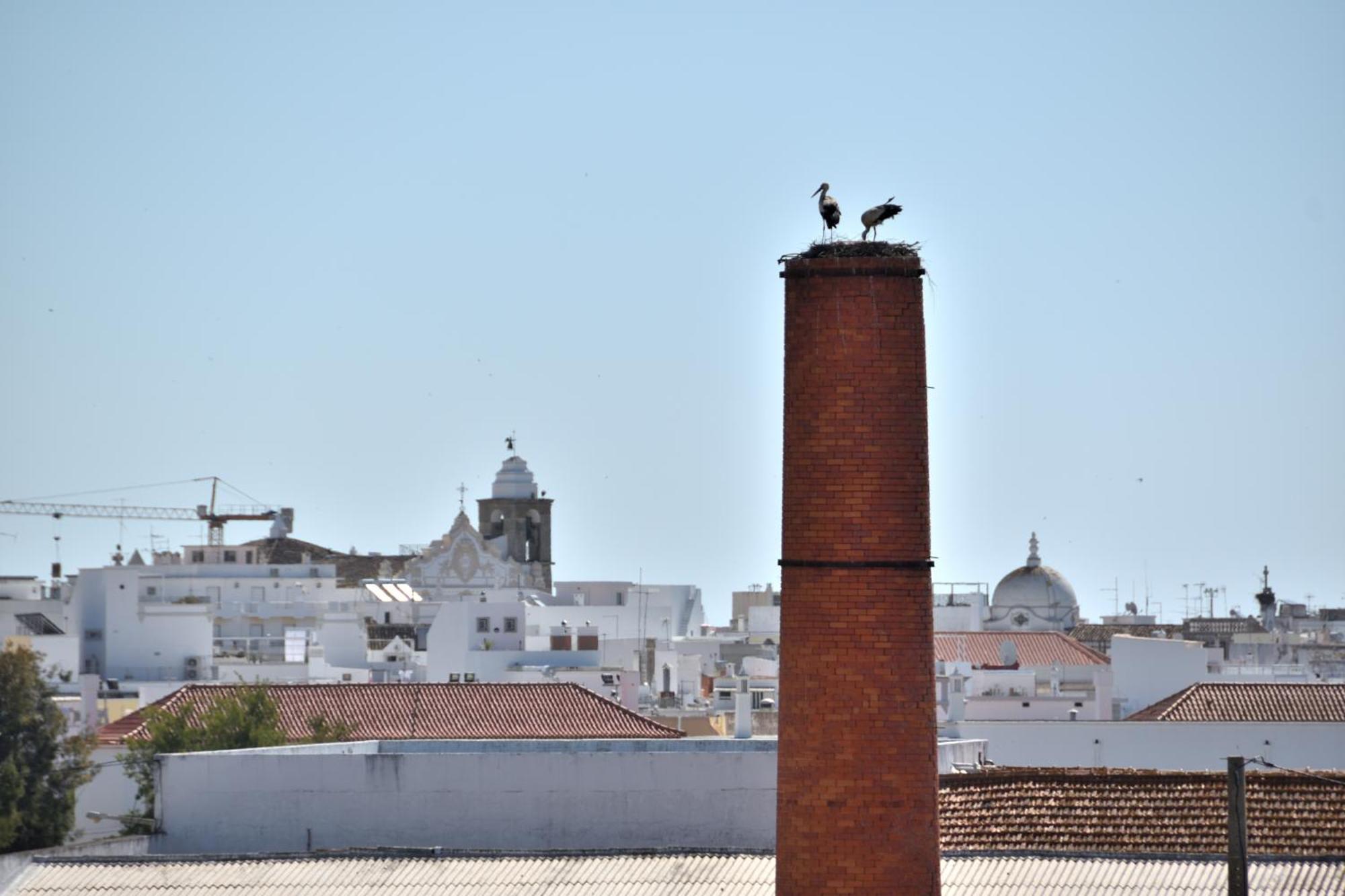 Stork Apartment Olhão Extérieur photo